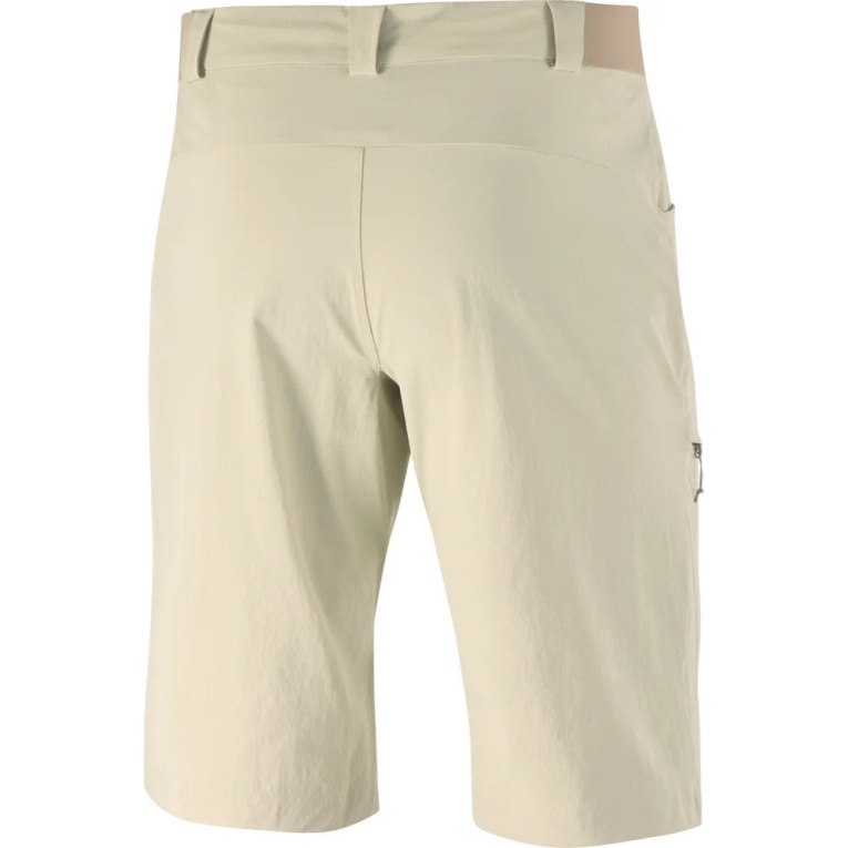 Khaki Salomon Wayfarer Men's Shorts | PH 12796W